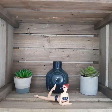 -capcir- Standing, Cosy, 50m De La Plage, Parking, Wifi * 카네트